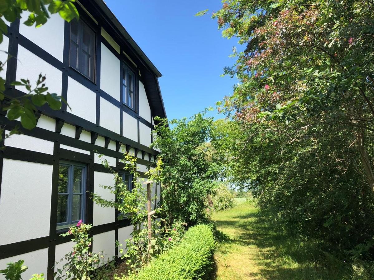 Apartment Am Achterwasser Dorf 12