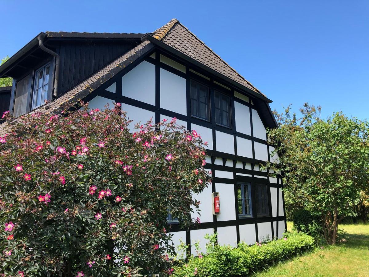 Apartment Am Achterwasser Dorf 12 *