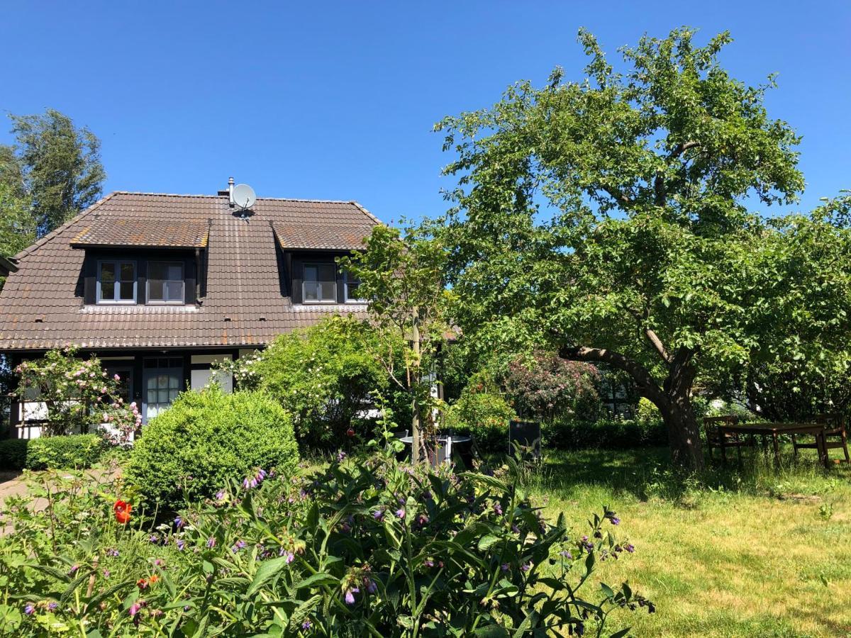 Am Achterwasser Dorf 12 Apartment *